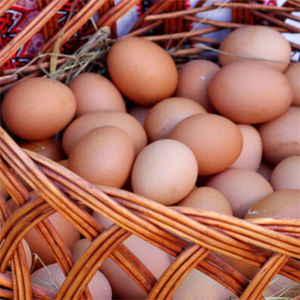 La ferme du Pesquié